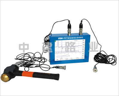 RSM-PRT(M)型雙通道低應(yīng)變檢測儀